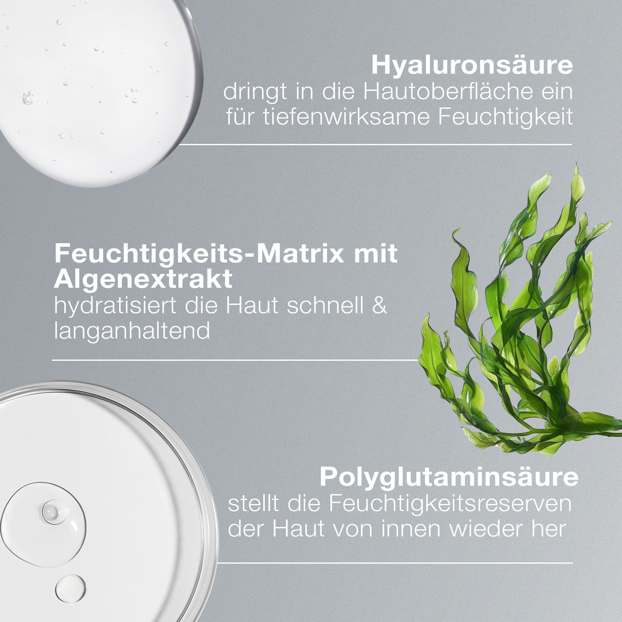 Circular Hydration Serum