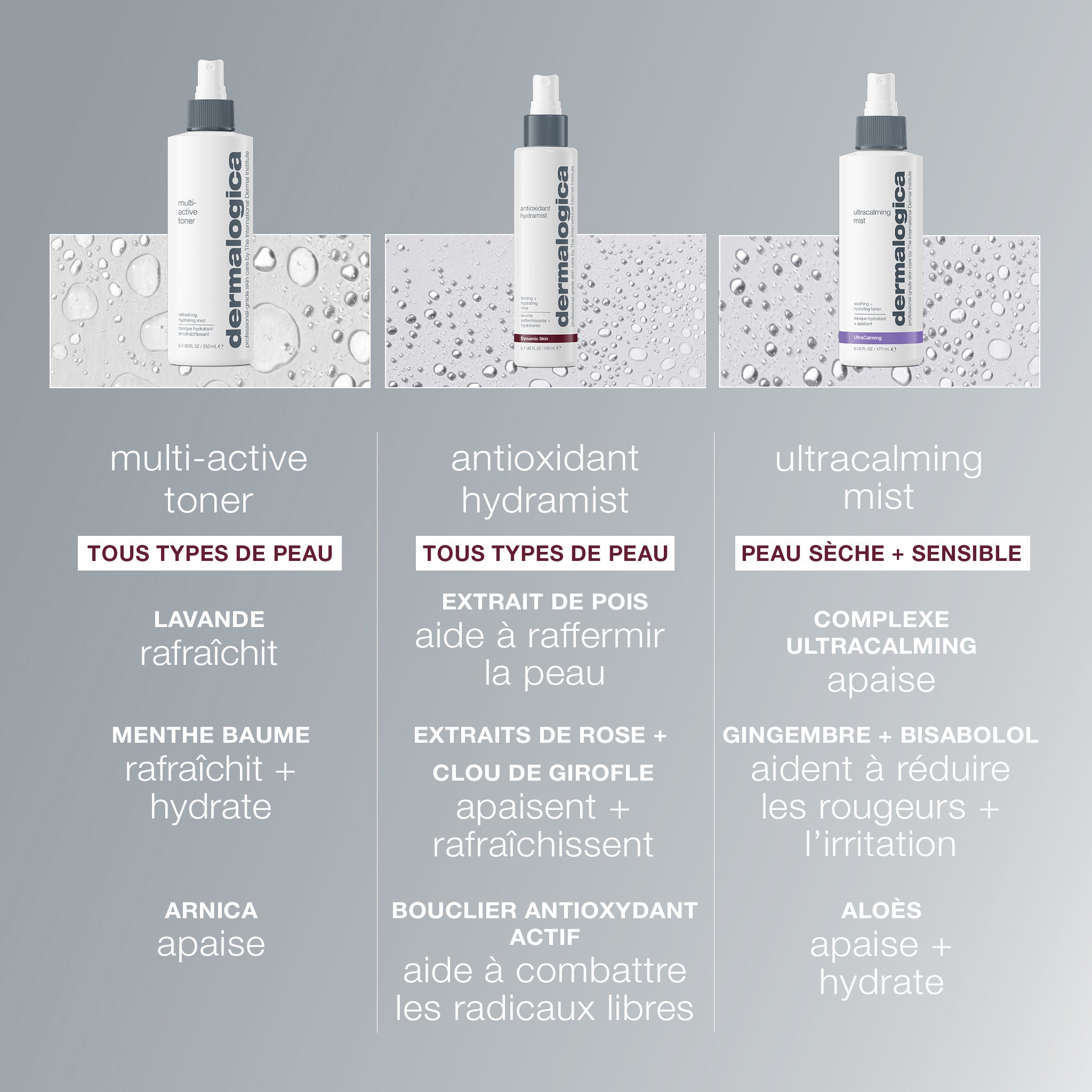 Antioxidant HydraMist